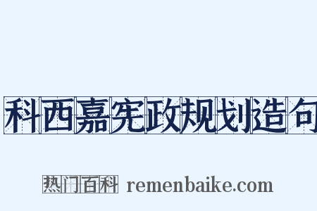 科西嘉宪政规划造句是什么意思的图片